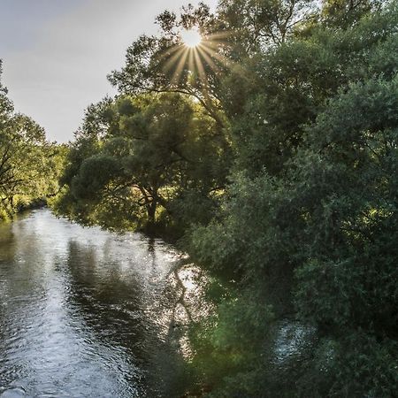 Ferienwohnung Jobst - Ruhig Mit Blick Ins Gruene Nittenau Dış mekan fotoğraf